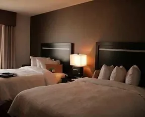Hampton Inn & Suites Houston/League City - Chambre