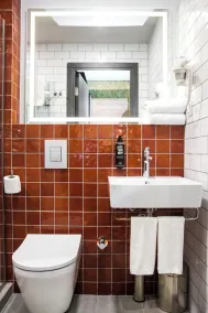 ibis Styles Tbilisi Mziuri Park - Badezimmer