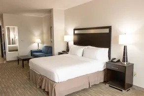 Holiday Inn Express Hotel & Suites Temple-Medical Center Area by IHG - Chambre