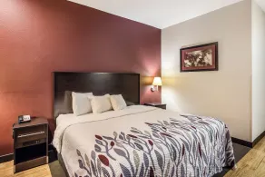 Red Roof Inn St Louis - Troy, IL - Room