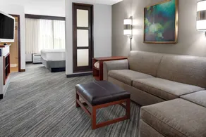 Hyatt Place Memphis Primacy Parkway - Chambre