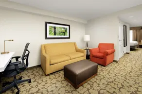 Hilton Garden Inn Frederick - Chambre
