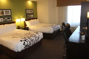 Sleep Inn Henderson-Evansville South - Room