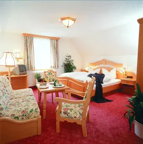 Hotel Spessarttor - Zimmer