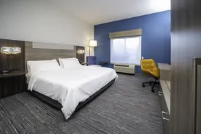 Holiday Inn Express and Suites Atlanta-Johns Creek by IHG - Chambre