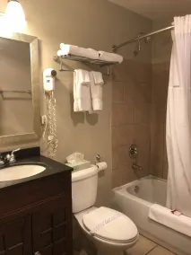 Global Inn - Salle de bain