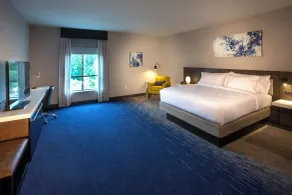 Hilton Garden Inn Redmond Seattle - Chambre