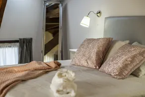 Apartamentos Casona del Campo - Room