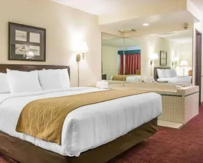 Canberra Premiere Comfort Hotel - Room