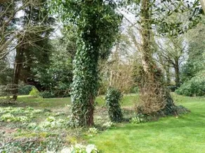 Standard Hill Cottage - Interior