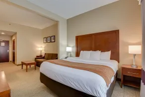 Comfort Inn & Suites Augusta Fort Gordon Area - Chambre
