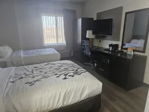 Sleep Inn & Suites Kingsport TriCities Airport - Room