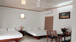 Nha Xanh Homestay - Værelse