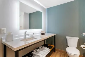 Cambria Hotel Bloomington Mall of America Minneapolis Airport - Salle de bain