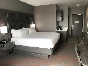 Holiday Inn Abilene - North College Area by IHG - Chambre