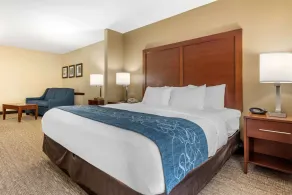 Comfort Suites Dayton-Wright Patterson - Chambre