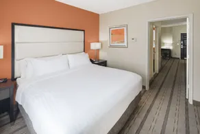 Holiday Inn Express & Suites Atlanta NE- Duluth by IHG - Chambre