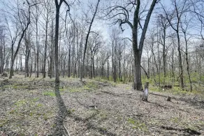 6 Mi to Fort Knox! Rural Family Home, Pets Welcome - Interiør