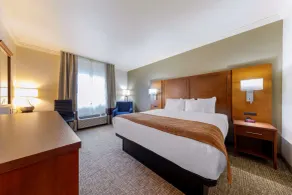 Comfort Inn Huntsville Research Park - Chambre