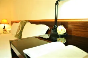 Yishin Garden B&B - Chambre