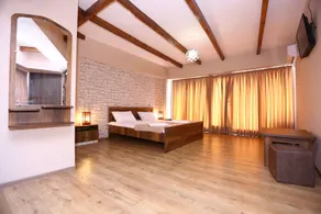 Hotel Traveler - Room