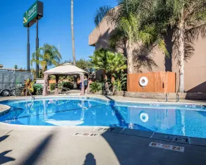 Quality Inn & Suites Cameron Park Shingle Springs - Piscine
