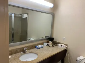 Comfort Inn Smithfield near I-95 - Salle de bain