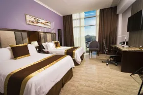 Hotel City Plaza & Suites - View from room