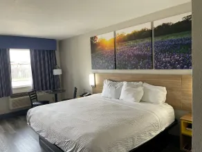Days Inn by Wyndham San Antonio Southeast Frost Bank Center - Room