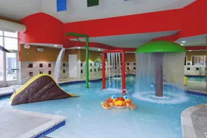 Hilton Garden Inn Rockford - Piscine