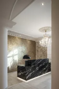 Hotel Donauhof - Réception