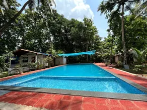 King Villa Goa - Pool