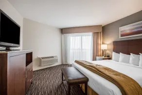 Quality Inn & Suites Hermosa Beach - Vue de la chambre