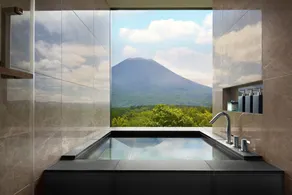 Higashiyama Niseko Village, a Ritz-Carlton Reserve - Vue de la chambre