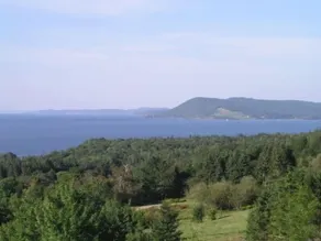 Hollyday Cove Cottage - Vue de la chambre