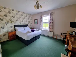 The Plough Inn - Room