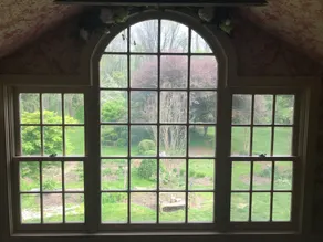 Wild Wisteria - Vue de la chambre