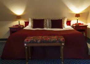 Fleischer's Motel - Room