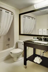 Comfort Inn - Salle de bain