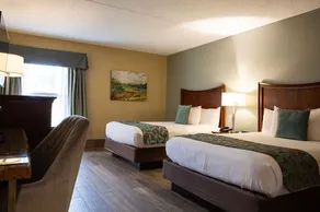 D. Hotel Suites & Spa - Chambre