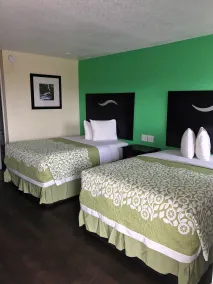 Budget Inn - Room