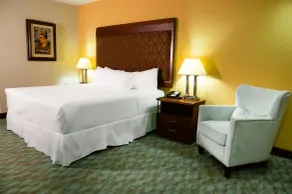Hotel Plaza Juan Carlos - Room