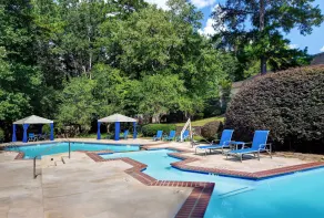 Hilton Peachtree City Atlanta Hotel & Conference Center - Piscine