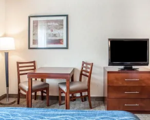 Comfort Inn & Suites Hamburg - Buffalo South - Chambre