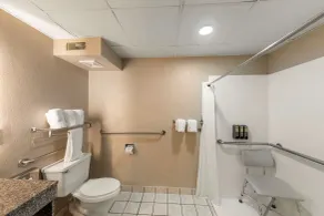 Best Western Plus Russellville Hotel & Suites - Badeværelse