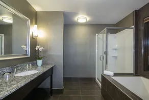 Holiday Inn & Suites Silicon Valley - Milpitas by IHG - Chambre