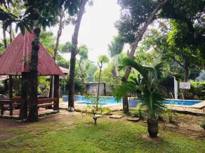 The Pelicans Resort - Pool