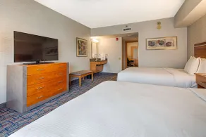 Embassy Suites by Hilton Chicago O'Hare Rosemont - Chambre