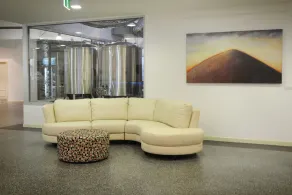 White Sands Estate - Recepción