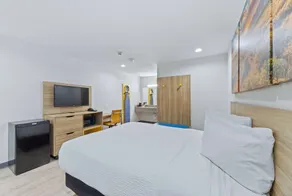 Days Inn by Wyndham McKinney - Chambre